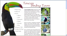 Toucan Birding Tours
